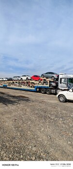 庫(kù)爾勒托運(yùn)一臺(tái)小汽車(chē)去平頂山全程費(fèi)用多少