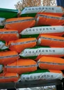 天締農(nóng)犢牛奶粉全脂奶粉新生犢牛
