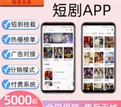 小程序app开发定制分销商城家政短剧租赁社交物联网软件开发