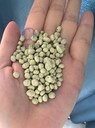 污水廠深度治理硫自養(yǎng)除磷脫氮填料