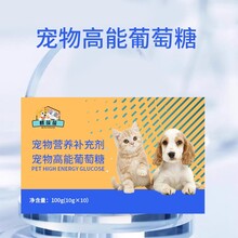 寵物高能葡萄糖體能補充飲料貓咪狗狗高能葡萄糖液OEM貼牌定制