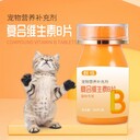 貓狗通用寵物營(yíng)養補充200片現貨批發(fā)可OEM寵物復合維生素片
