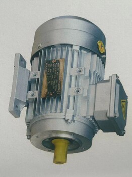 三相異步鋁殼電機