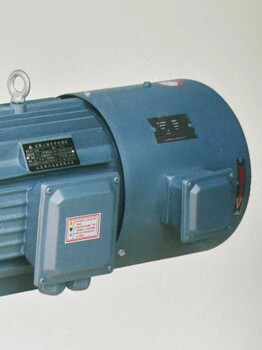 變頻調速三相電動機