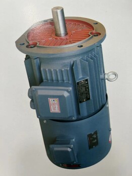 變頻調(diào)速三相異步電動機.