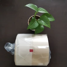 擺藥機藥包紙分包紙玻璃紙復(fù)合膜平面140對折75JVM碟和國產(chǎn)