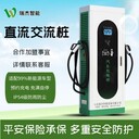 160/180kw瑞杰新能源電動汽車特斯拉比亞迪直流充電樁