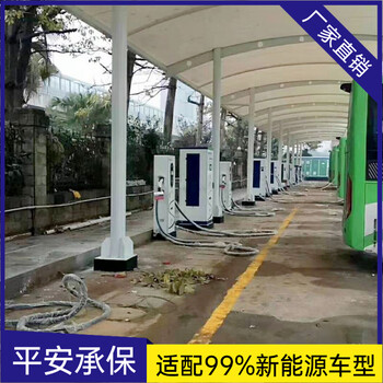 貴州實用性強新能源掃碼充電樁商用運營建站汽車雙槍快速充電樁