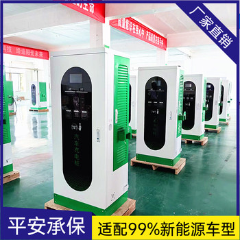 貴州實用性強新能源掃碼充電樁商用運營建站汽車雙槍快速充電樁