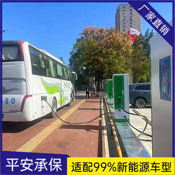 貴州實用性強新能源掃碼充電樁商用運營建站汽車雙槍快速充電樁