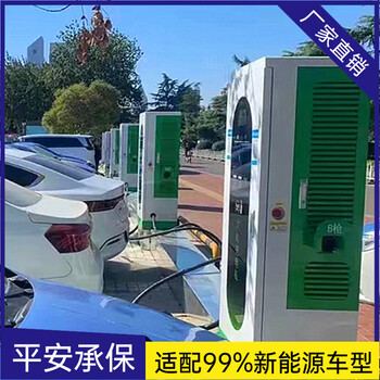 貴州實用性強新能源掃碼充電樁商用運營建站汽車雙槍快速充電樁