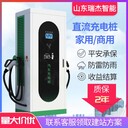 山東多種充電形式三相工程建設(shè)商用運(yùn)營(yíng)直流快充充電樁