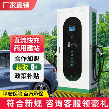 60kw新能源车充电桩商用单双枪户外防水防尘快充直流大功率120kw