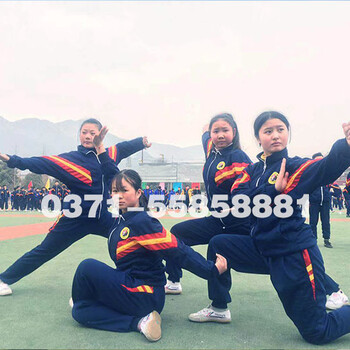 中岳嵩山少林文武學(xué)校怎么樣?