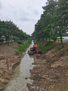 肇庆水上两栖挖机出租挖淤泥