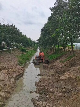 高新區(qū)船挖租賃廠家推薦