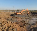 阿拉善盟水陆挖掘机出租服务