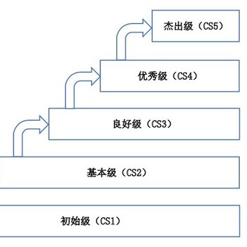 CS信息系統(tǒng)建設(shè)和服務(wù)能力評估體系咨詢服務(wù)