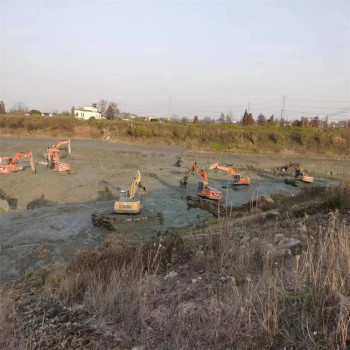 湛江清理水池挖机温州市