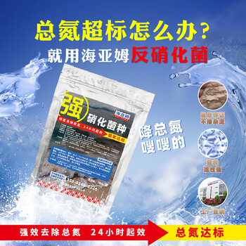 反硝化菌種細(xì)菌生活污水處理菌劑微生物降解亞硝除總氮