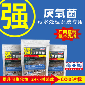 小海牛厭氧菌劑微生物菌劑降cod厭氧塔厭氧池用