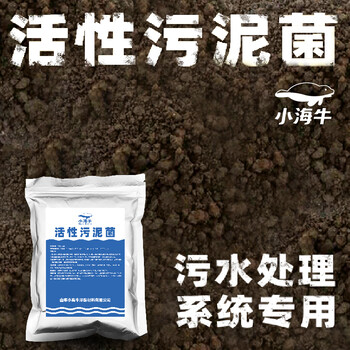 小海牛山東地區(qū)活性污泥總經(jīng)銷污水處理污泥培菌啟動