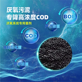 厭氧顆粒污泥污水處理降氨氮降總氮降總磷降COD