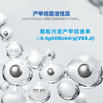 厭氧顆粒污泥污水處理降氨氮降總氮降總磷降COD