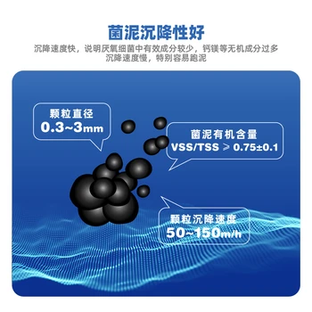 厭氧顆粒污泥污水處理降氨氮降總氮降總磷降COD