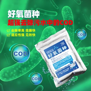 好氧菌污水處理降氨氮降總氮降總磷降COD