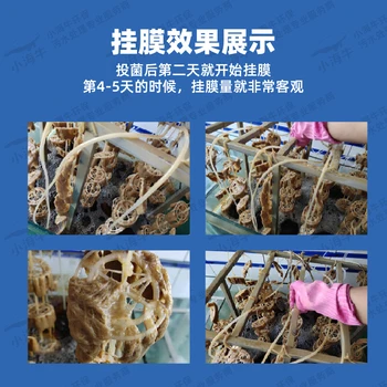 好氧菌污水處理降氨氮降總氮降總磷降COD