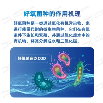 好氧菌污水處理降氨氮降總氮降總磷降COD