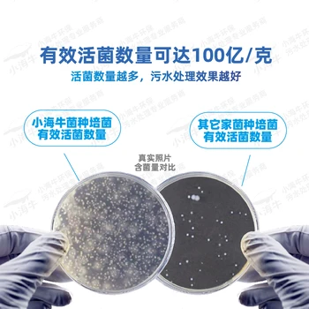 好氧菌污水處理降氨氮降總氮降總磷降COD