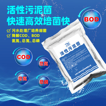 活性污泥污水處理好氧菌種復(fù)合菌劑生化生物菌好氧池