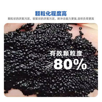 小海牛厭氧顆粒污泥污水處理厭氧菌種發(fā)酵菌劑厭氧塔高濃度COD