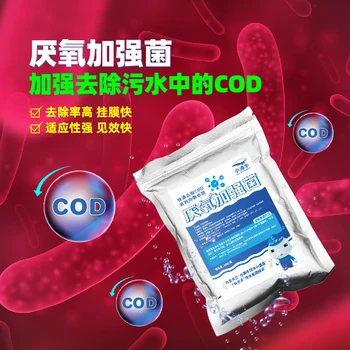 小海牛厭氧加強菌污水處理菌劑降解cod設(shè)備啟動培菌