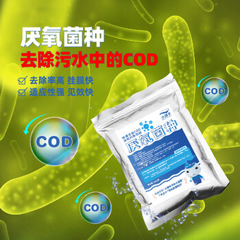 小海牛厭氧菌生化系統(tǒng)污水處理劑微生物菌種降解氨氮
