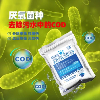 小海牛厭氧菌污水處理菌種水解酸化除CODBOD