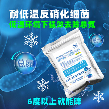 小海牛低溫反硝化菌種脫氮菌污水處理降總氮耐6度濾池缺氧池
