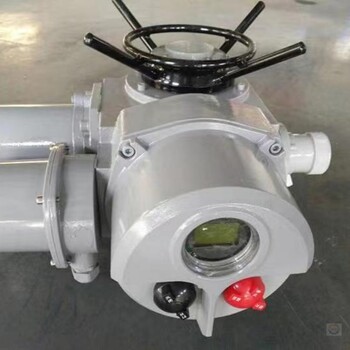 電動執(zhí)行器DZW30-18/DZW電動裝置