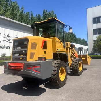 工廠直營(yíng)外貿(mào)出口全新裝載機(jī)異型機(jī)鏟車