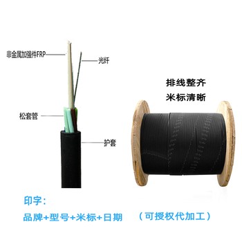 GYFTZY-6芯非金属全介子导引光缆非金属阻燃光缆厂家