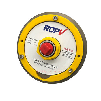樂普ROPV膜殼端蓋R8040B1000psi反滲透原裝8寸水處理玻璃鋼膜殼