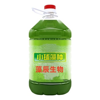 藻辰鮮活小球藻藻種5L可擴(kuò)培水產(chǎn)養(yǎng)殖