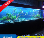 广东大型鱼缸定制商场大型观赏生态鱼缸雨林缸制作安装