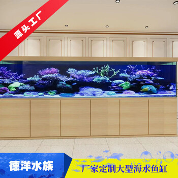 廣東廠(chǎng)家供應(yīng)大型魚(yú)缸定制酒店南美缸定做大型嵌入式魚(yú)缸廠(chǎng)家