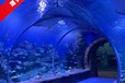 廣東亞克力魚缸定制廠家大型亞克力海水魚缸海洋館海底隧道設計