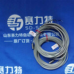 ROPEX	RES-5007溫度控制器