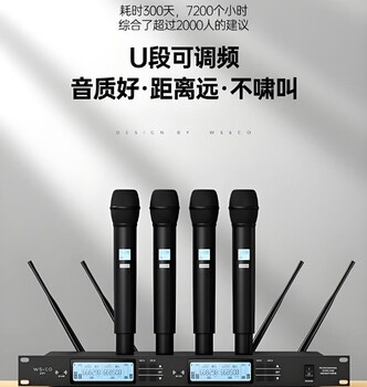 河南會(huì)議及演出用無線麥克風(fēng)批發(fā)