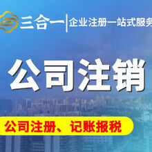 天津市蓟州营业执照怎么注销，天津市蓟州代办注销营业执照